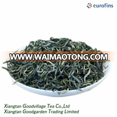 Maofeng Green Tea For Export